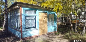 Общая кухня