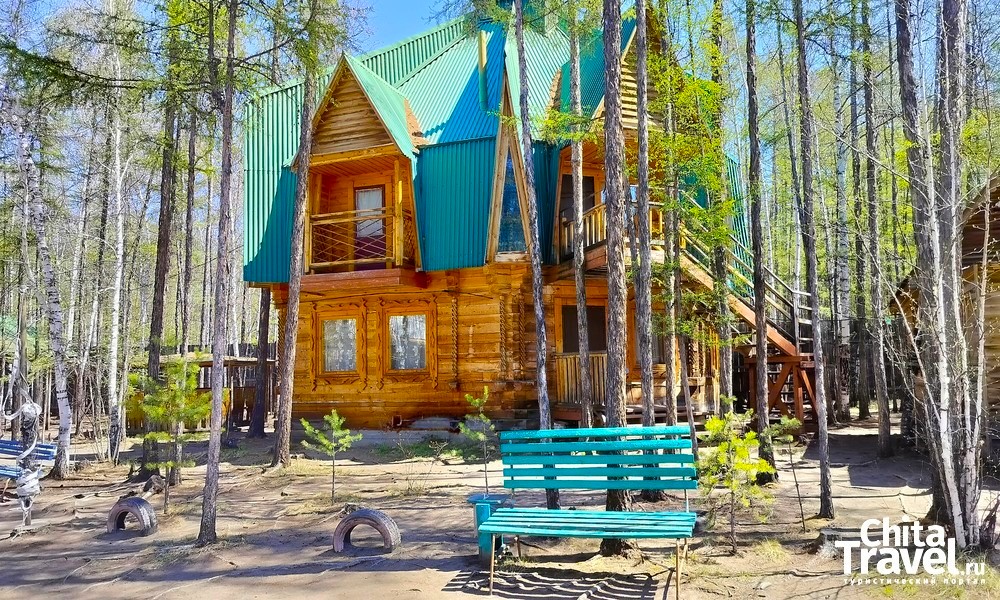 Тимон и Пумба