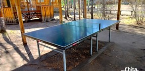Теннисный стол (май 2025).