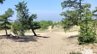 Вид на озеро (июнь 2025).