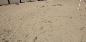 Волейбольная площадка