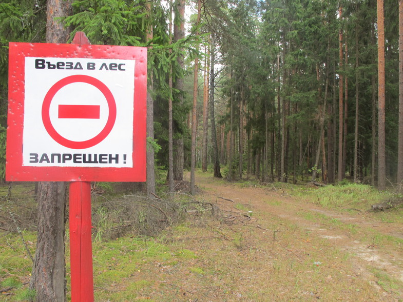 Забайкальцам вновь запретили ходить и ездить в лес