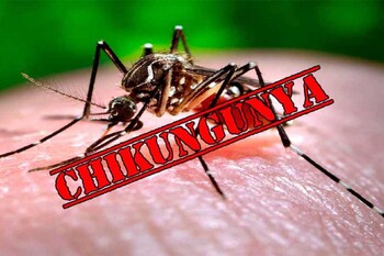 МИД РФ предупреждает россиян о распространении лихорадки чикунгунья в Таиланде